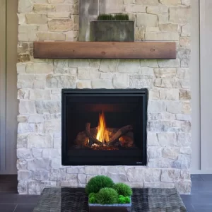Heat & Glo – 5X Insert Gas Fireplace - Image 1
